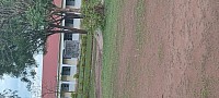 Conduceve and favourable enviroment